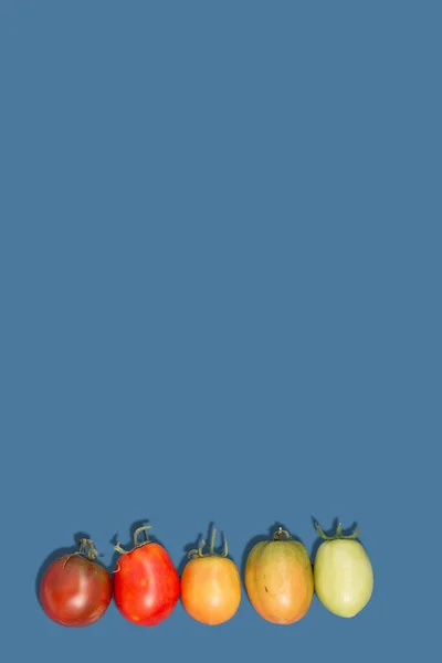 Pomodori Multicolore Vista Dall Alto Sfondo Blu Scuro Con Spazio — Foto Stock