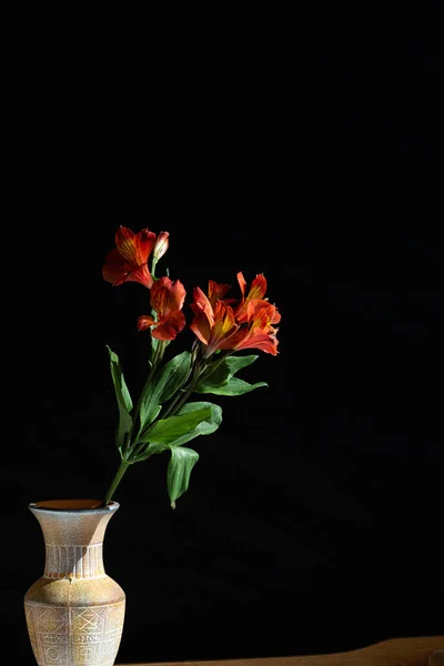 Fleur Orange Sur Fond Noir — Photo