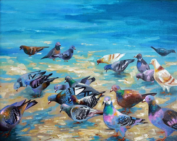 Artwork. Beach pigeons. Author: Nikolay Sivenkov.  Beach pigeons attracted me with their color. Some pigeons are colored like parrots ...
