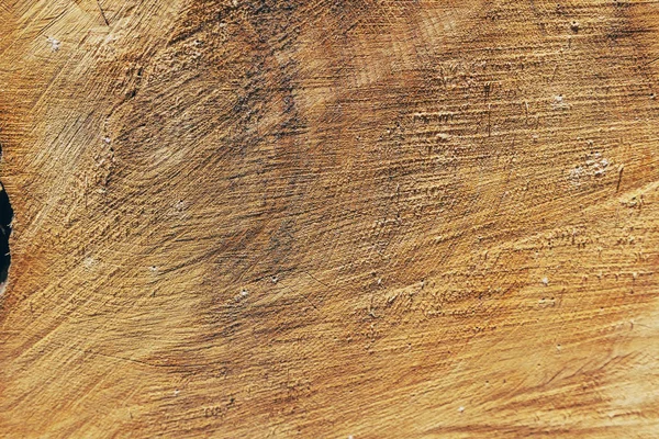 Cross-section of a tree trunk, showing growth rings. The photo shows a carelessly cut tree trunk. By the number of rings, you can determine the age of the tree. Cross-section of the tree creates an interesting texture.