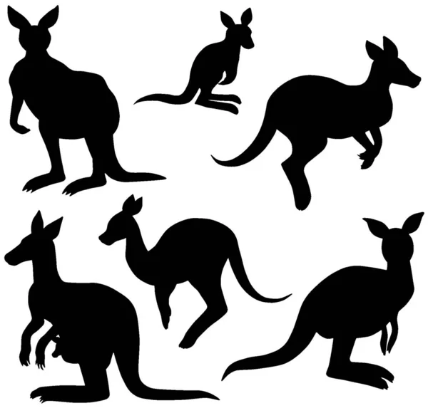 Klokanní Siluety Marsupiální Vektorové Soubory Živočišné Přírody — Stockový vektor