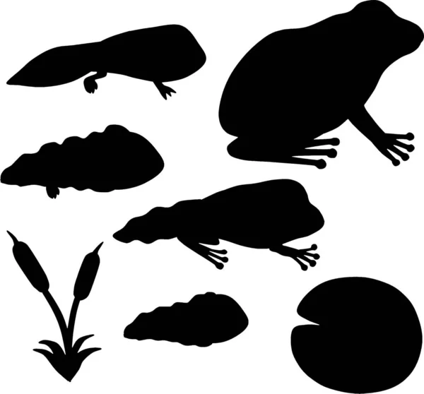 Лягушки Головастики Силуэты Векторные Изображения Рептилий — стоковый вектор
