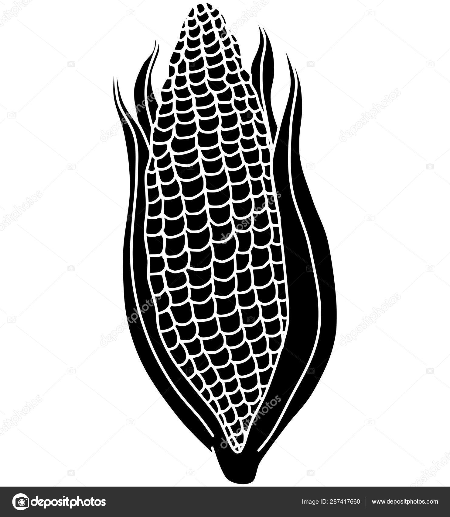 Corn Vector Vegetable Food Silhouette Cartoon Illustration Black White Stock Vector Image by ©i365art #287417660 Corn Vector Vegetable Food Silhouette Cartoon Illustration Black White Stock Vector Image by ©i365art #287417660