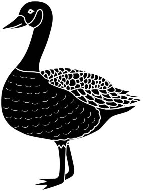 Kaz Vektör Ördek Karikatür Siluet İllüstrasyon