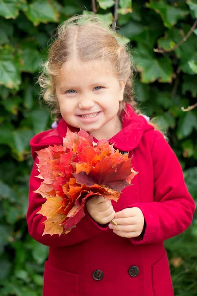 秋天的小孩子 美丽的小女孩穿着红色的大衣与一束红色的秋天叶子 微笑和欢欣滑稽的秋天孩子 — 图库照片