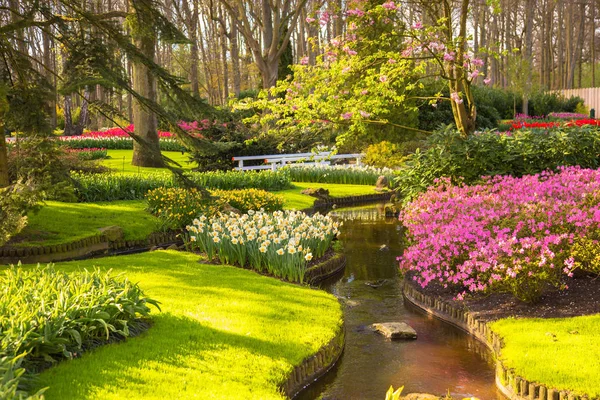 Wiosną Kwitnące Słoneczny Park Kwiaty Zielona Trawa Młodych Liści Drzewach — Zdjęcie stockowe