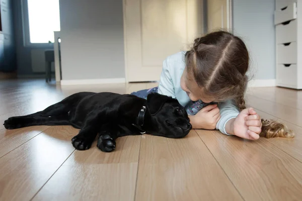 Dziecko Szczeniak Pojęcie Opieki Nad Zwierzętami Pet Pies Labrador Dziewczynka — Zdjęcie stockowe