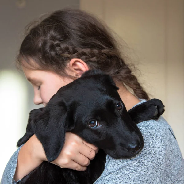Het Kind Houdt Een Labrador Pup Het Meisje Zorg Draagt — Stockfoto