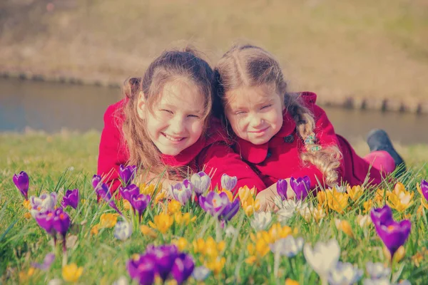 快乐的孩子们喜欢春天的花朵 微笑的孩子们躺在绿草如茵的草地上 在春天的花番红花中玩耍 春天阳光明媚的日子 第一朵花和快乐的孩子 — 图库照片