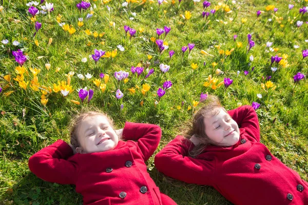 子供では 太陽と花をお楽しみください 笑顔の子供たちは緑の草春の花クロッカスの中で芝生の上に横たわっているし 楽しい時を過します 春の晴れた日 最初の花と幸せな子供 — ストック写真