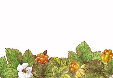 Border seamless of berries and leaves of cloudberry