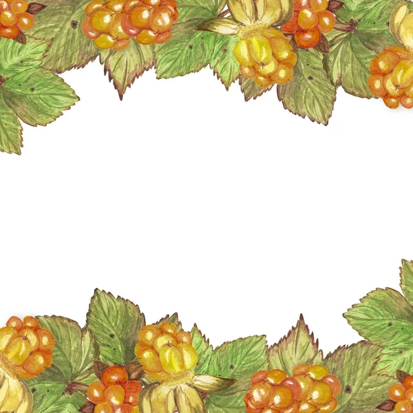 Dekorativer Rahmen Aus Blättern Und Beeren Der Moltebeere — Stockfoto