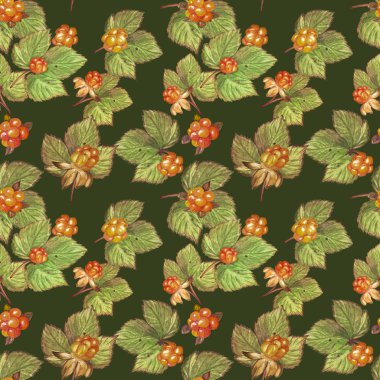 Cloudberries çilek ve Dikişsiz desen bırakır. Suluboya