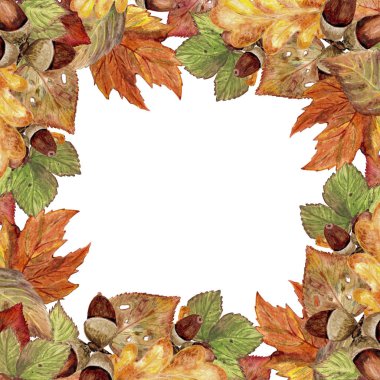 Sonbahar yaprakları ve meşe palamutları kare çerçeve. Suluboya