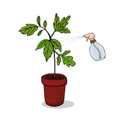 İç mekan bitkileri bakımı. Çiçekleri suluyordum. Vektör