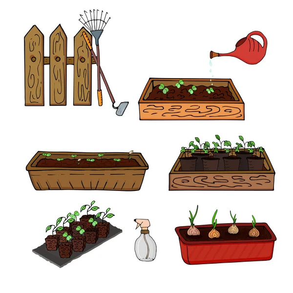 Holzkisten Mit Jungpflanzen Und Zwiebeln Für Die Gartenarbeit Vektor — Stockvektor