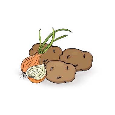 Beyaz bir arka planda soğan patates tubers. Vektör Illustration