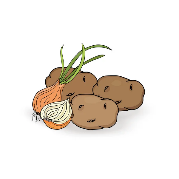Los tubérculos de las patatas en la cebolla sobre el fondo blanco. Ilustración vectorial — Vector de stock