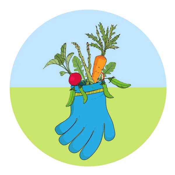 Un ramo de verduras, zanahorias, rábanos, espárragos y guisantes en un guante de jardín. Ilustración vectorial . — Vector de stock