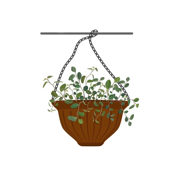 Topf hängen mit Topfblumen tradescantia isoliert auf weißem Hintergrund. Vektorillustration — Stockvektor
