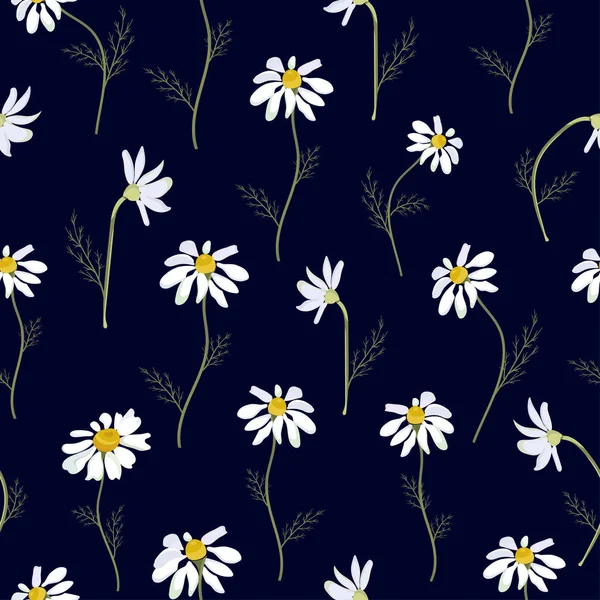 Field daisies seamless pattern on dark background. Vector — Stock Vector