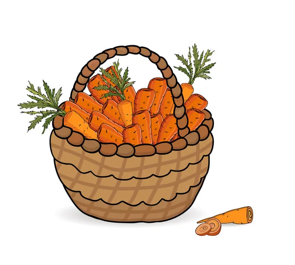 Cesta com uma colheita de cenouras em um fundo branco. Ilustração vetorial — Vetor de Stock