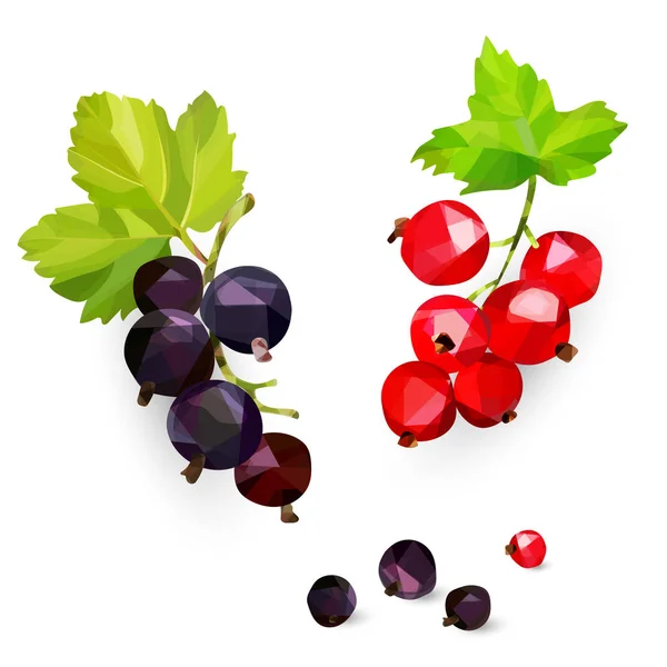 Beeren aus schwarzem und rotem Smrodina auf einem Zweig im Stil von Low-Poly auf weißem Hintergrund, isolierte Objekte. — Stockvektor