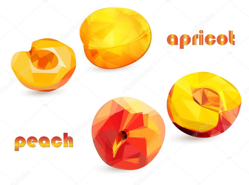 Peach and apricot berries low poly style