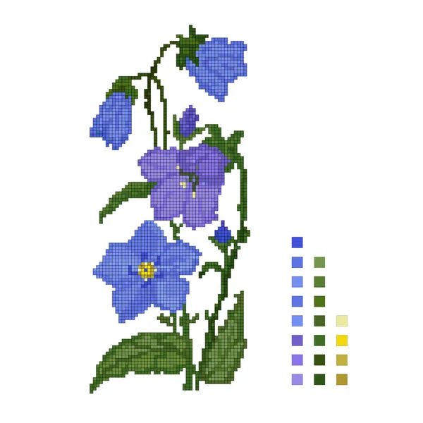 Kruis gestikte bloem van de bel op een witte achtergrond, het schema. Vector — Stockvector