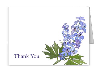 Çiçek delphinium bir buket ile kartpostal yatay. Vektör
