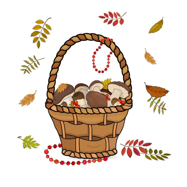 Sonbahar yaprakları ile beyaz bir arka planda beyaz mantar bir ürün ile hasır sepeti