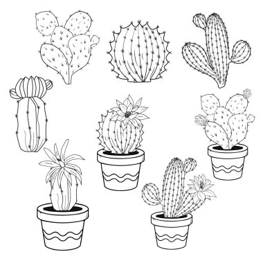 Tencerede kaktüs çiçekleri, beyaz arka plan üzerinde izole edilmiş siyah ve beyaz çizgiler.