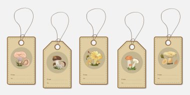 Orman mantarı görüntüsü ile etiket kümesi. Vektör çizimi