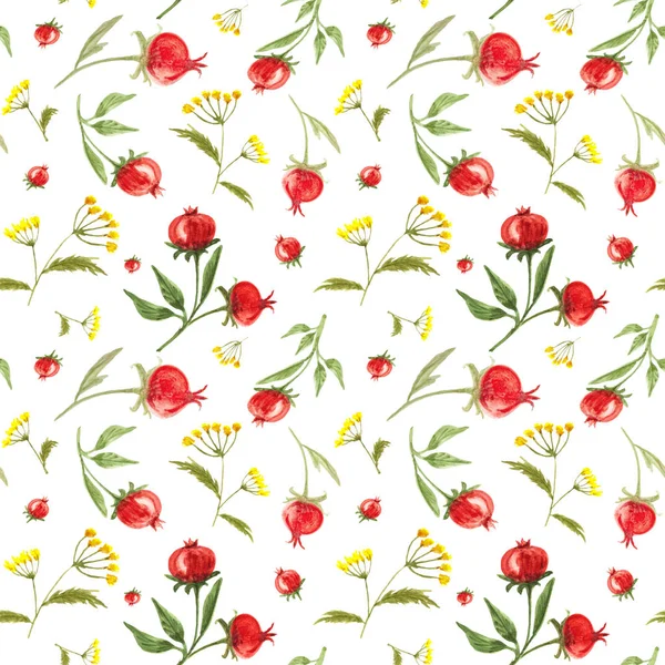 Pattern with forest and meadow herbs and fruits of red berries of a dogrose — Stock Photo, Image