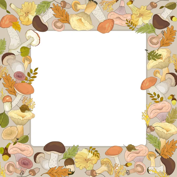 Quadratischer Herbstrahmen aus Waldpilzen mit Herbstblättern. Vektorillustration — Stockvektor