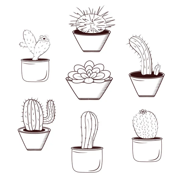 Set cactus flowers in pots, black and white lines isolated on white background. — Stock Vector