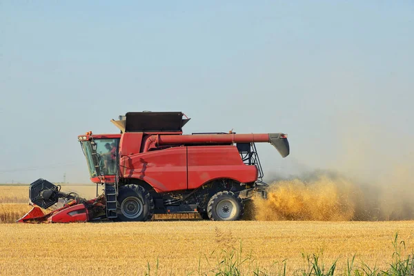 Harvesting Combine Summer Field — Stock Photo, Image