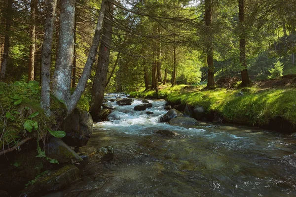 Rio Montanha Floresta Romena — Fotografia de Stock