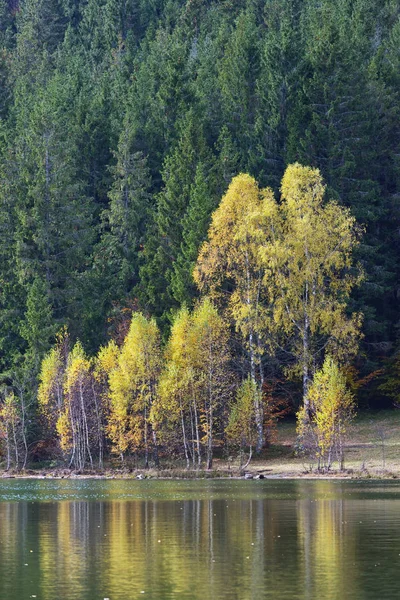 Autunno Con Fogliame Giallo Riflesso Nel Lago Sant Anna — Foto Stock