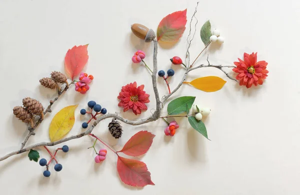 Herbst Flach Gelegen Mit Verschiedenen Schönen Blüten Und Blättern — Stockfoto