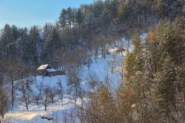 Casa Campo Madeira Paisagem Ensolarada Inverno — Fotografia de Stock