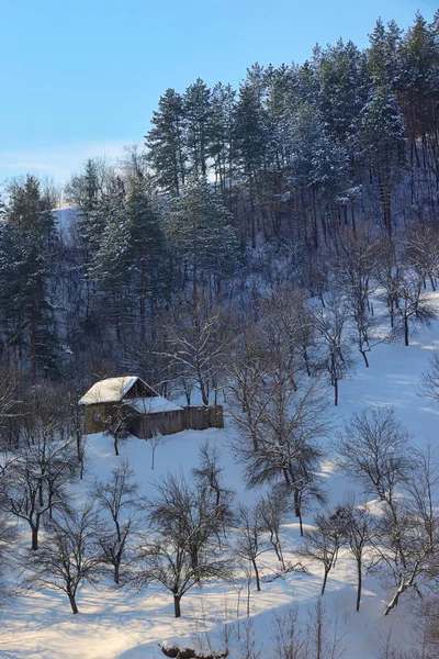 阳光明媚的冬季景观中的木制小屋 — 图库照片