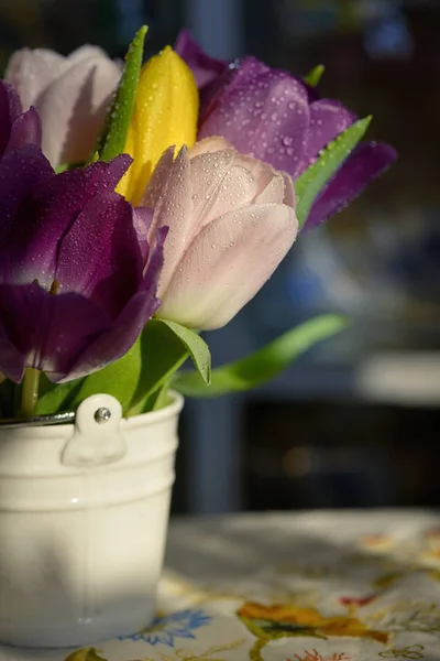 Boeket tulpen met dauw druppels — Stockfoto