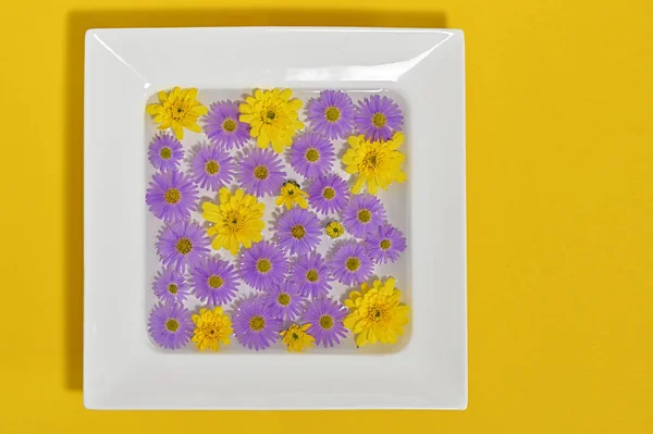 Abstraktní talíř s květinami — Stock fotografie