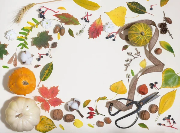 가을의 다채 로운 낙엽 과 틀 — 스톡 사진