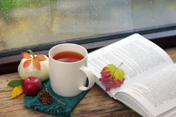 Cup Of  Tea Near A Pumpkin And Book — Stock Photo, Image