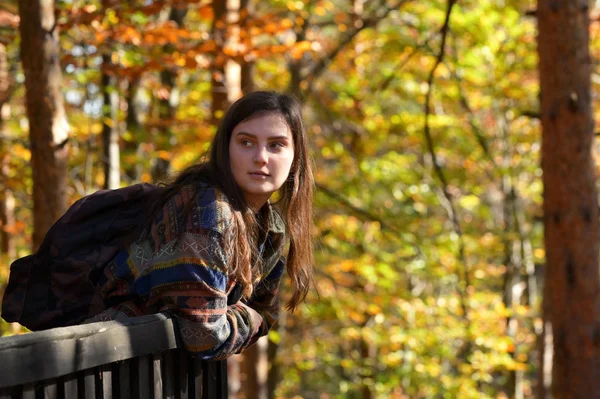 Young girl in autumn forest — Stock Photo, Image