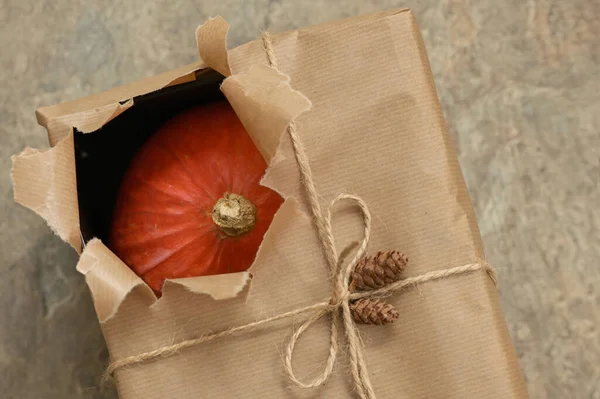 Αφηρημένη Κολοκύθα Φθινόπωρο Ανοιχτή Παρούσα Κουτί Δώρου — Φωτογραφία Αρχείου