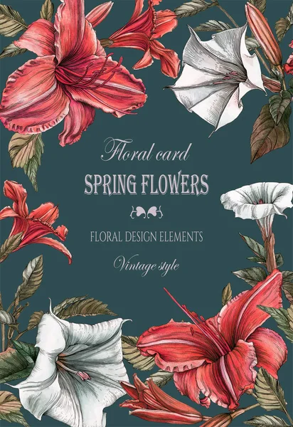 Blommig Gratulationskort Med Liljor Och Datura Blommor — Stockfoto
