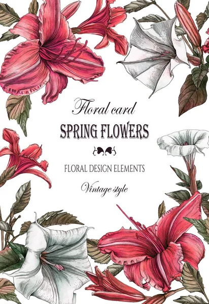 Cartão Saudação Floral Com Lírios Flores Datura — Fotografia de Stock